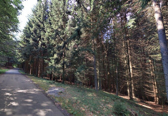 K prodeji lesní pozemky, Hartinkov, okres Svitavy - 6