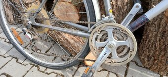 Author pánské kolo - 6