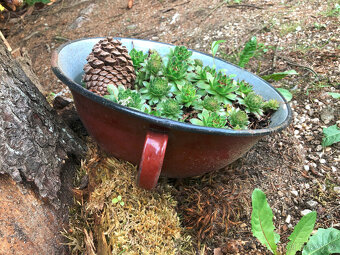 Velká zadělávací smaltovaná mísa k osázení na zahradu - 6