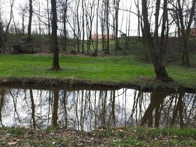 Prodej pozemku u vody 1557 m2 v obci Veltrusy - 6