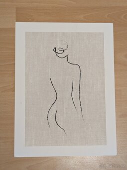 Prodám obrazy (plakáty) - 30 x 40 cm - 6