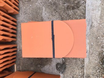 Bobrovky režné na prodej - 6