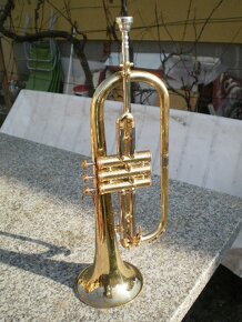 Jazz kridlovka HUTTL - 6