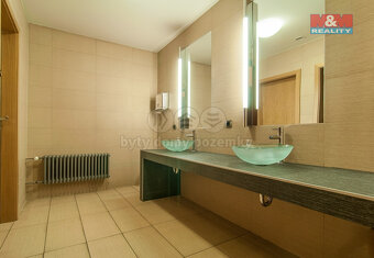 Prodej historického objektu, 664 m² - 6