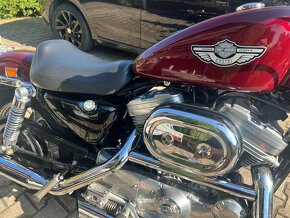 Harley Davidson  sportster 883  TOP - 6