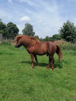Minipony s PP - 6