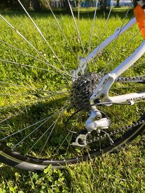 Maxbike Aras Lady - 6