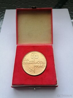 Pamětní medaile - 6
