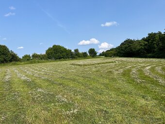 Prodej lučního sena - 6