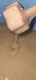 Ovocný Med, Květový Med - 6
