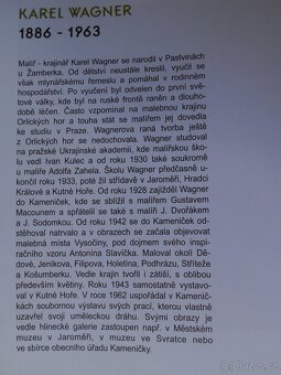 Zátiší s ovocem a květinami, Karel Wágner - 6