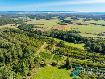 Prodej, Pozemek, Vinohrad, Lhenice, 8000 m2 - 6