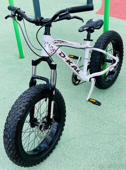 MTB Dirt Fatbike D-Kal 20” - 6