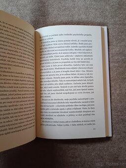 Zápisník abstinentky - 6
