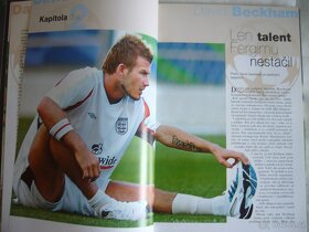 DAVID BECKHAM - Ed Greene, 2004 - 6