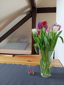 Apartmán na LIPNĚ - volný termín 27.6.-2.7.2025 - 6