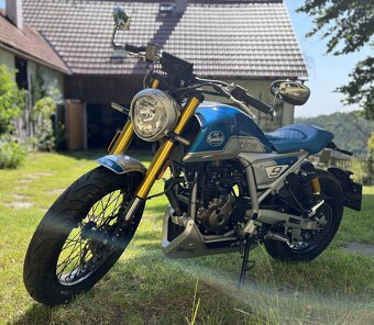 FB Mondial 125 HPS Limited Ubialli, 2021 - 6