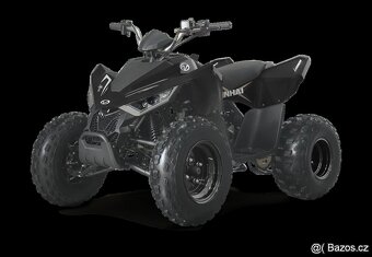 Linhai ATV 110 - Záruka 5 let - 6