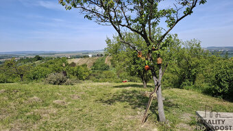 Prodej zahrady na okraji obce Blučina - 6