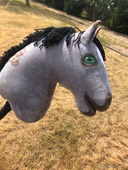 Hobby horse šedý grošák - 6