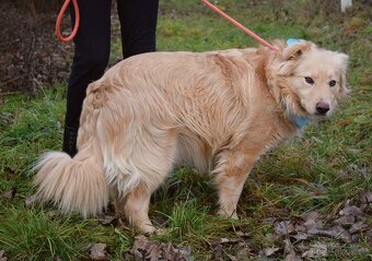 TAXO K ADOPCI - 2 LETÝ ÚŽASNÁK DO NEPOHODY - 6