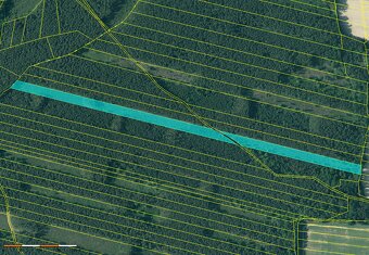 Prodej lesa 32388 m² Břilice u Třeboně - 6