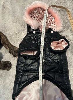 Bundička pro pejska 🐶🎀 - 6