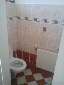 Pronájem bytu 1+1 Žižkov - 6