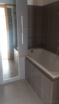 Pronájem krásného bytu 3+kk atraktivní Francouz - 6