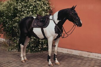 Sada Equestrian Stockholm Dark Sky VS - 6