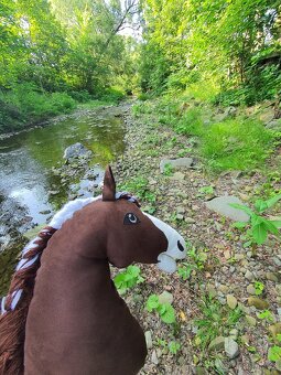 Hobby horse - 6
