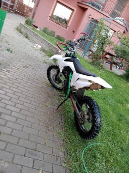 Pitbike minirocket 250 - 6