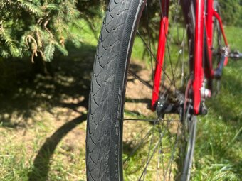 Gravel Giant Revolt vel L. - 6
