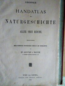 GROSSER HANDATLAS - 6