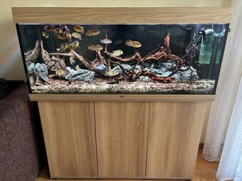 Akvarijní set Juwel Rio 240 dub světlý - 6