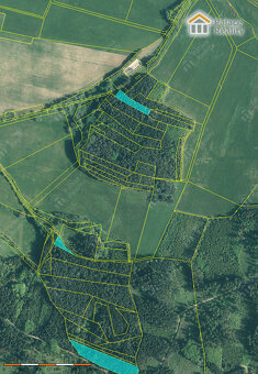 Prodej lesa 40.909 m2, obec Skály, okr. Strakonice - 6