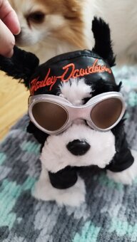 Harley Davidson maskot plyšový pes - 6
