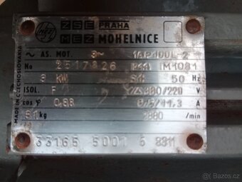 Šrotovník kladívkový - 6