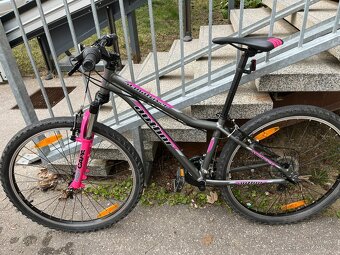 Author Matrix 26´ - 6