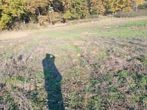 Pole, orná půda, k pronajmutí, do pachtu za naturálie. - 6