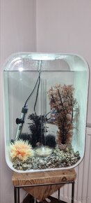 Akvárium Biorb Life 45 MCR - bílé - 6