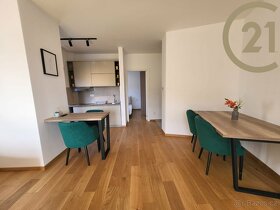Prodej vybaveného bytu v novostavbě, 48 m2 - Bečiči, Černá H - 6