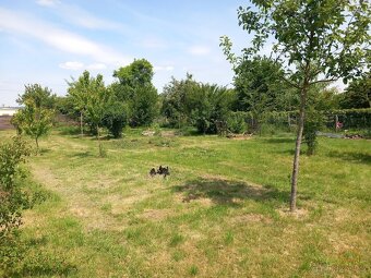 Prodej stavebního pozemku 799 m² - Vyškov - Nouzka - 6