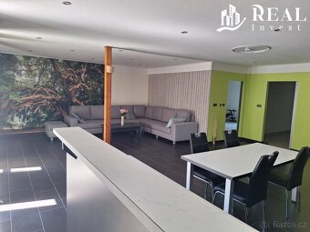 Prodej, rodinný dům 4+1, 524 m2, Skršín - 6