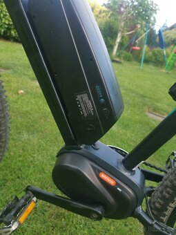 Pells razer - 6