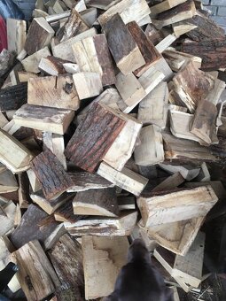 Palivové dřevo dříví tvrdé,měkké,listnatý mix - 6