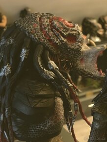 Berserker Predator busta 1/1 Sideshow_obří busta 84 cm - 6