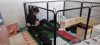 Klec na štěňata AgaFence - 6