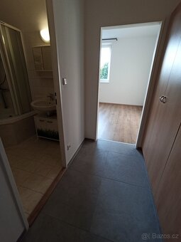Pronájem útulného bytu 1+kk, 32,8 m² - 6