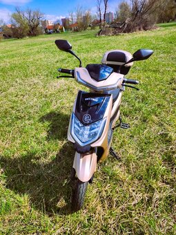 🛵Prodám Elektroskútr RACCEWAY® E-FICHTL® – světle zlatý mat - 6